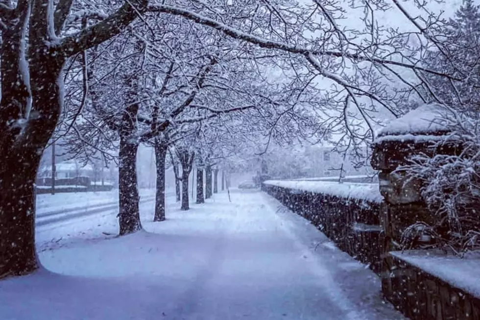 SouthCoast Super Bowl Sunday Snowstorm Photos