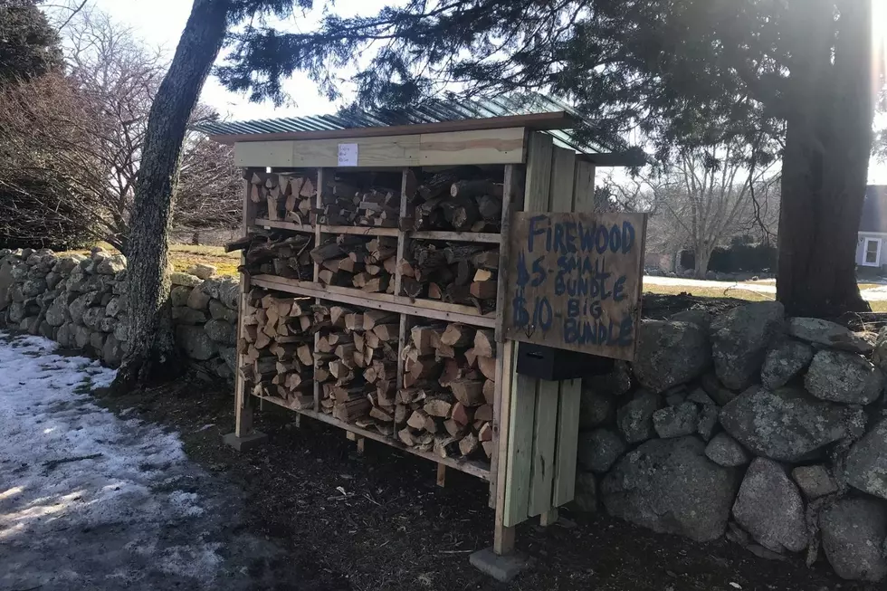 Dartmouth Boy Learns the Value of Business by Cutting Wood