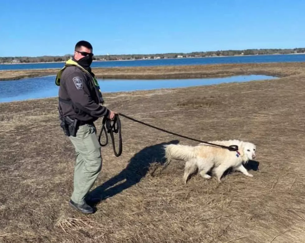 Marion Harbormaster