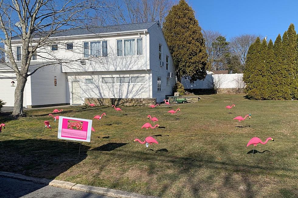 We Got &#8216;Flocked&#8217; Today and You Could Be Next