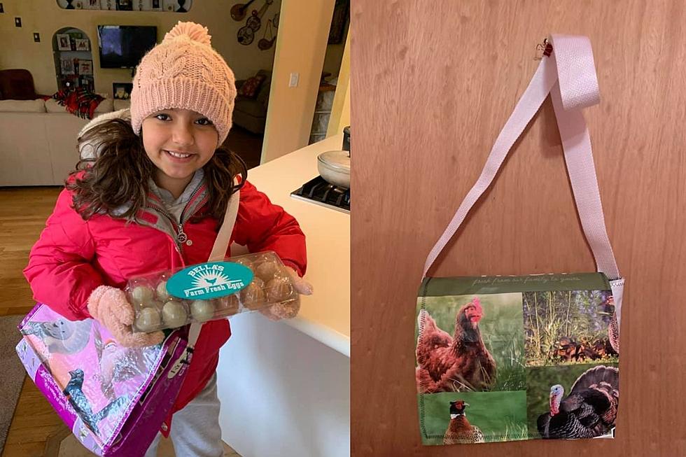 Dartmouth Girl Creates Handbags, Aprons From Animal Feed Bags