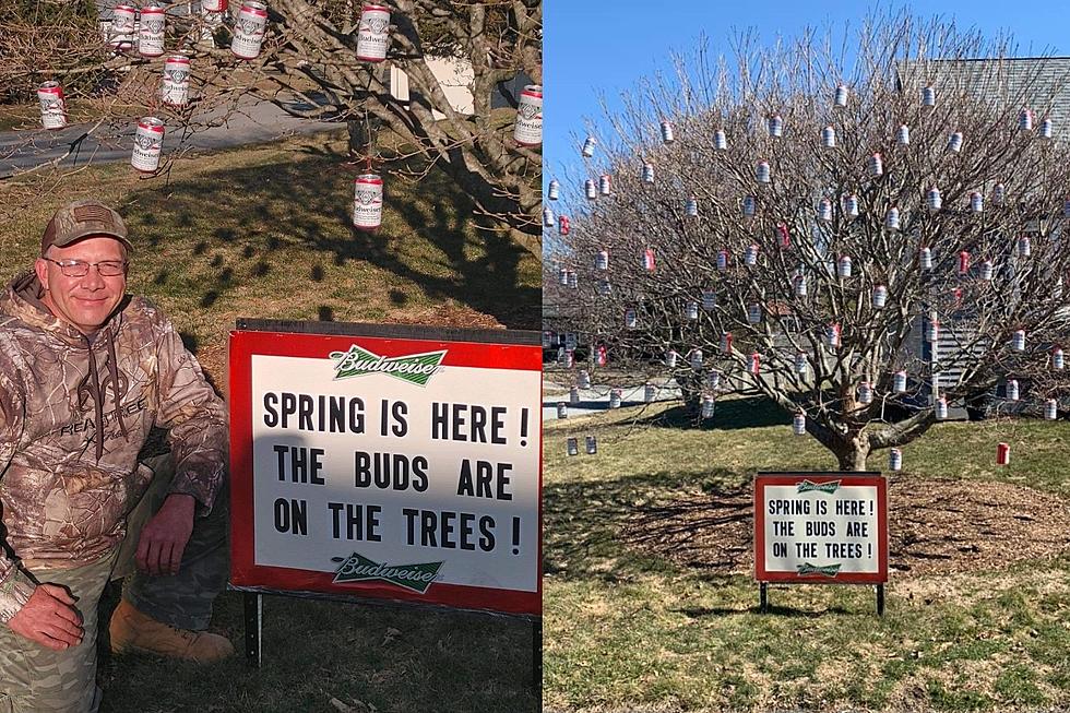 Somerset Knows Spring Has Sprung When the Buds Return