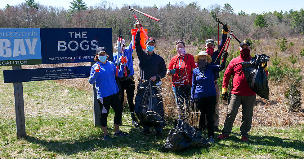 SouthCoast Volunteers Remove Trash, Plant Trees at Area Reserves