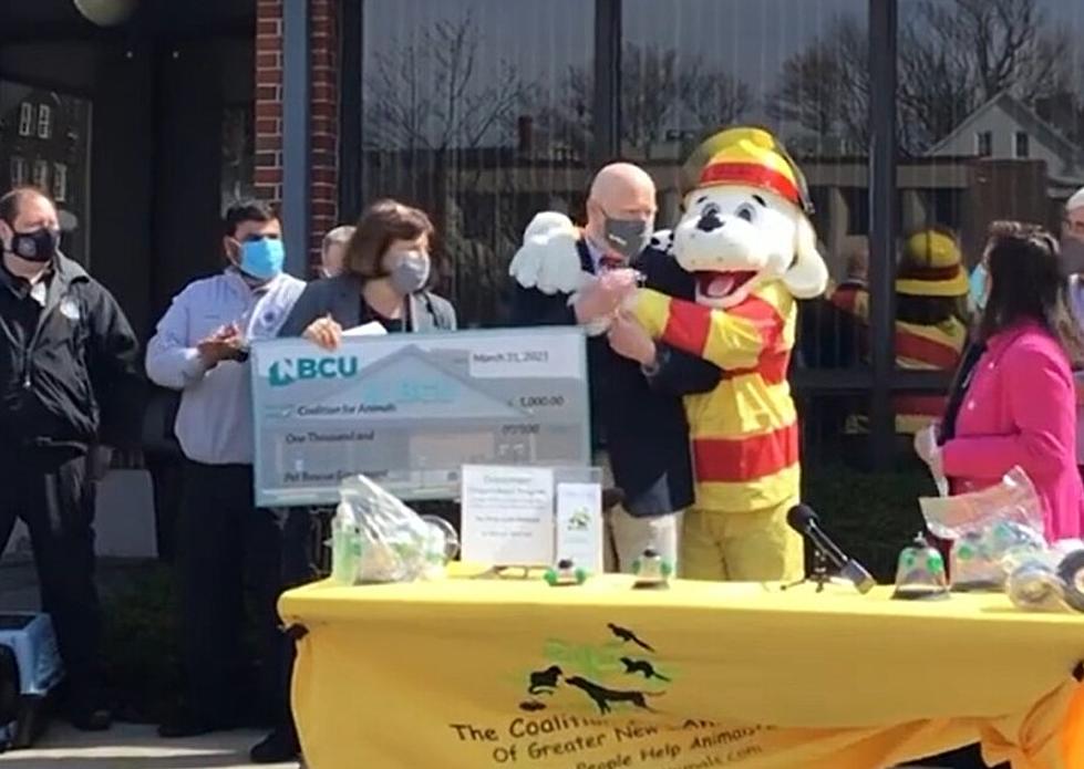New Bedford Credit Union Donates $1K For Pet Rescue Equipment