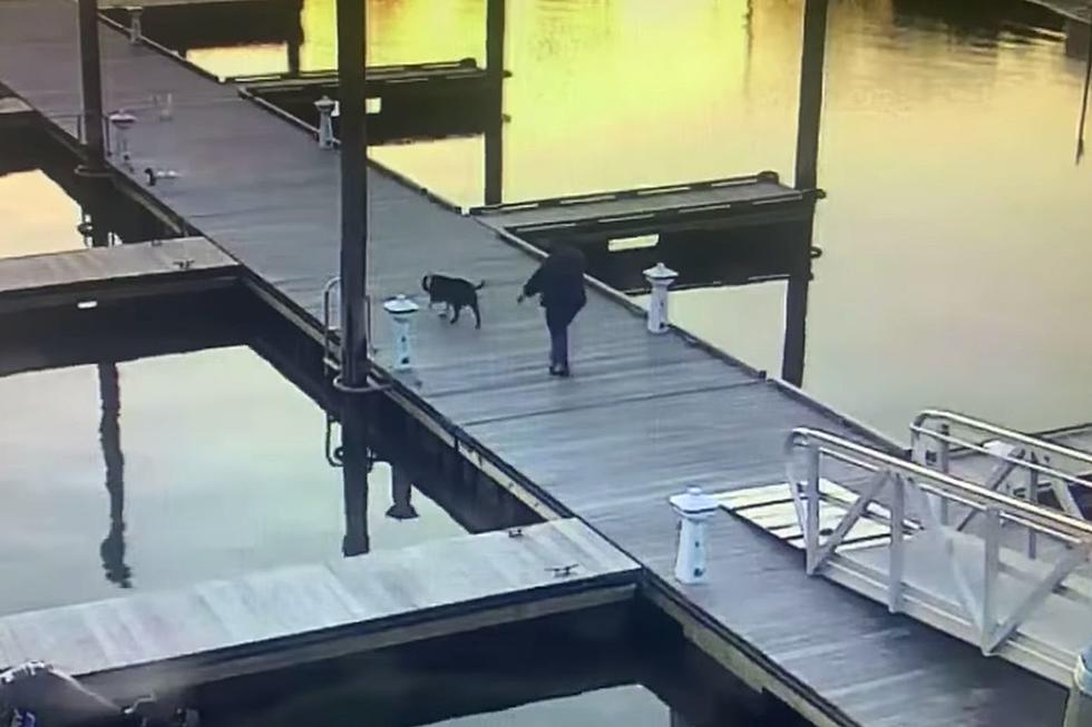 Wareham Dog Owner Caught in a Crappy Situation on Camera