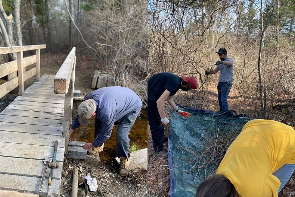 Dartmouth Community Rallies Together to Clean Up Cornell Pond