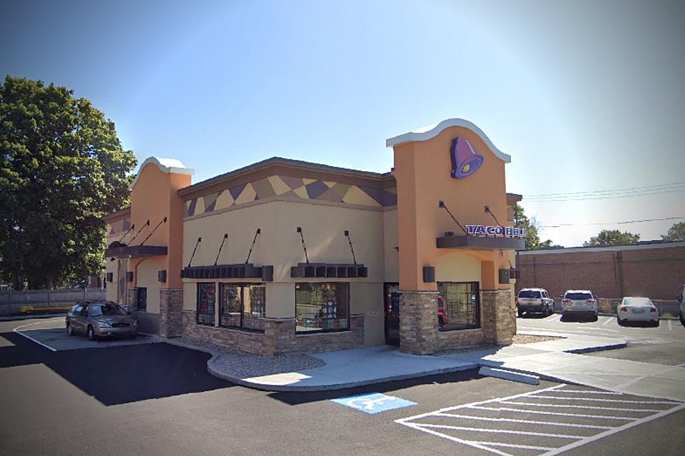 Middletown Taco Bell Confuses Gazelle for &#8216;Jersey Shore&#8217; Star