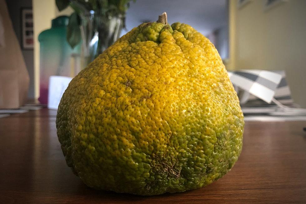 Don&#8217;t Knock This &#8216;Ugli&#8217; Fruit Until You&#8217;ve Tried It