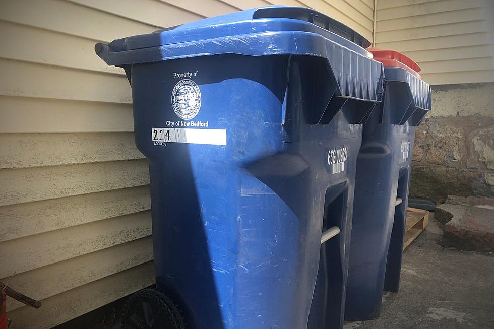 New Bedford, I Confess – I Toss My Dog's Waste Into Random Bins 