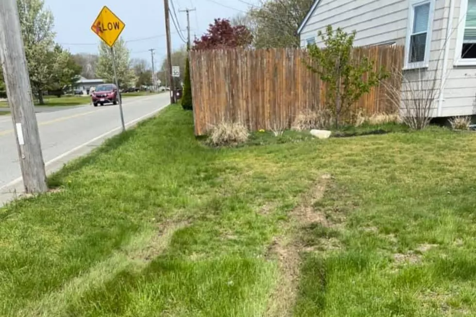 Acushnet Woman Finds Tire Marks on Lawn, Begs Drivers to Slow Down