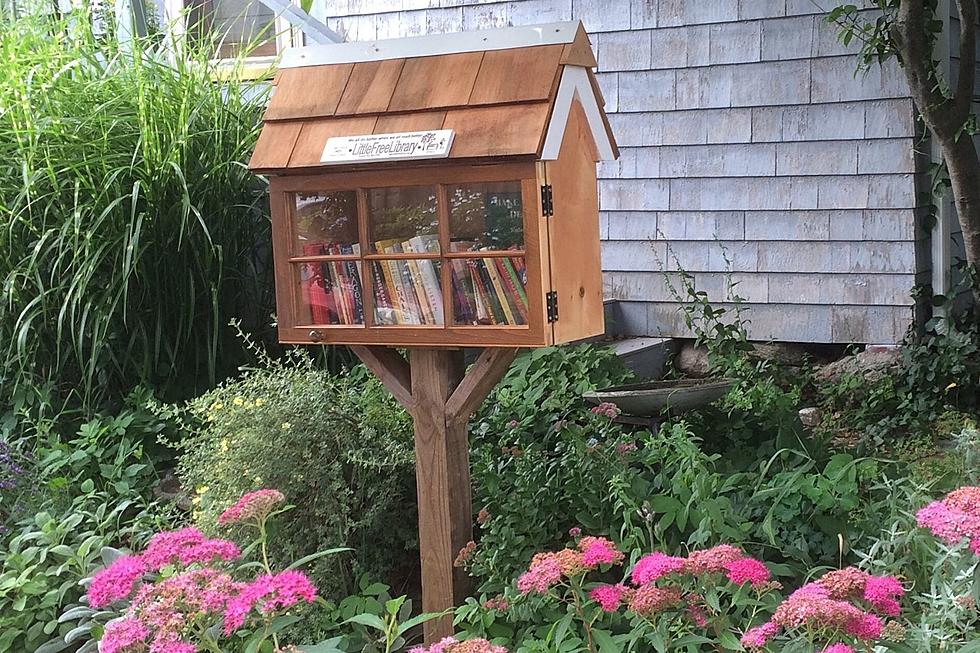 Fairhaven's Free Little Library a Hidden Gem for Book Lovers