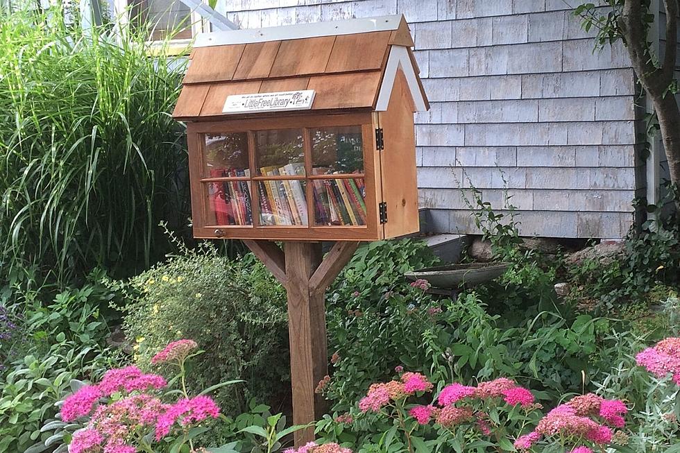 Fairhaven’s Free Little Library a Hidden Gem for Book Lovers