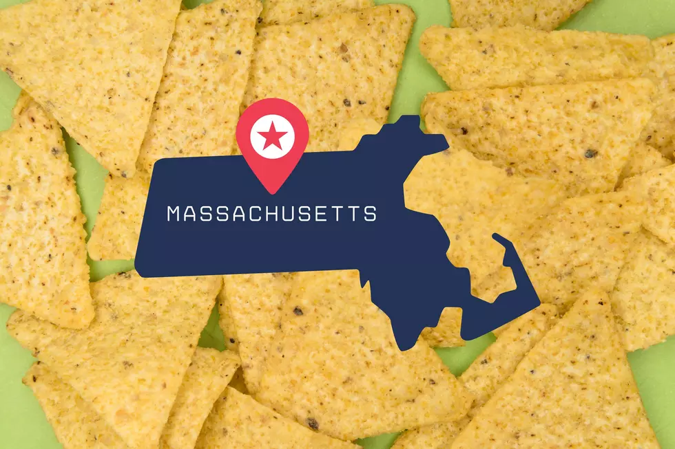 Would You Risk Swallowing a Massachusetts-Shaped Tortilla Chip?