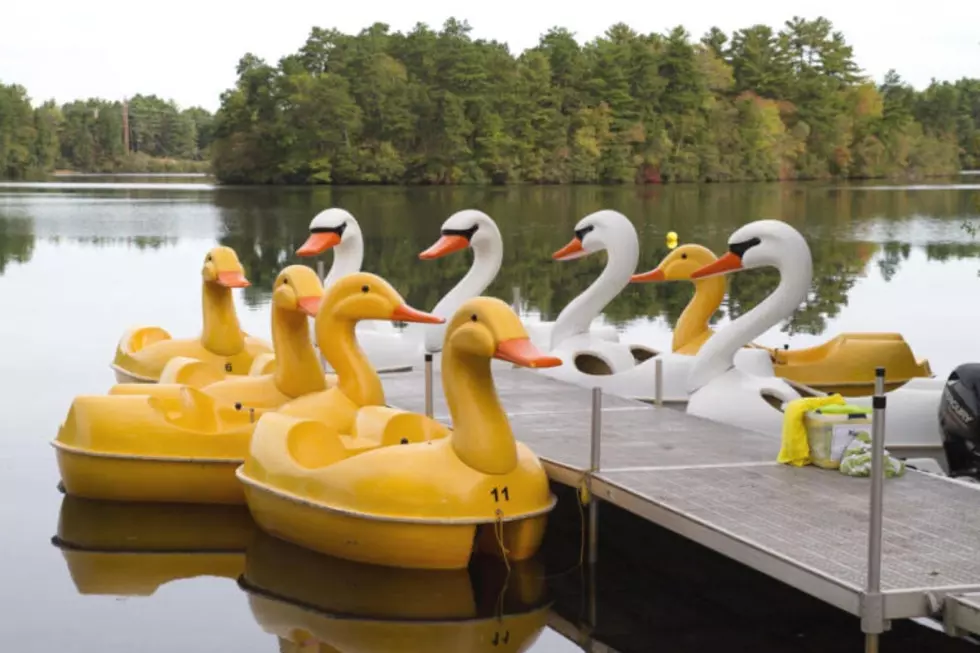 Paddle a Giant Yellow Duck Boat Into a Wareham Sunset This Summer