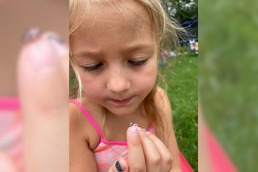 Dartmouth Girl Luckily Finds Vibrant Pink Ladybug in Backyard