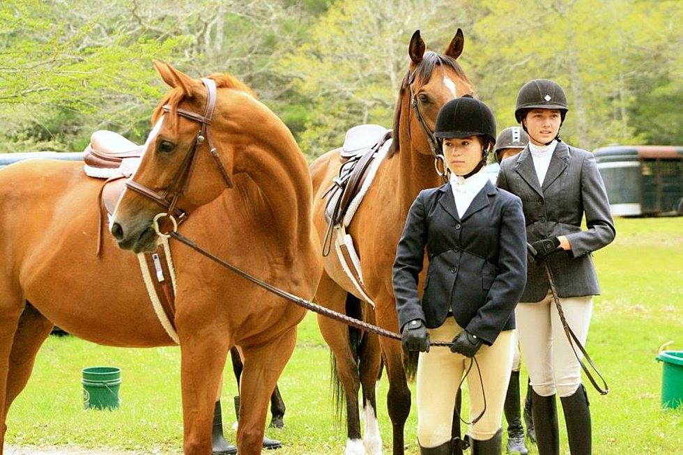 Horse Fanatics Rejoice Because the Marion Horse Show Is Back