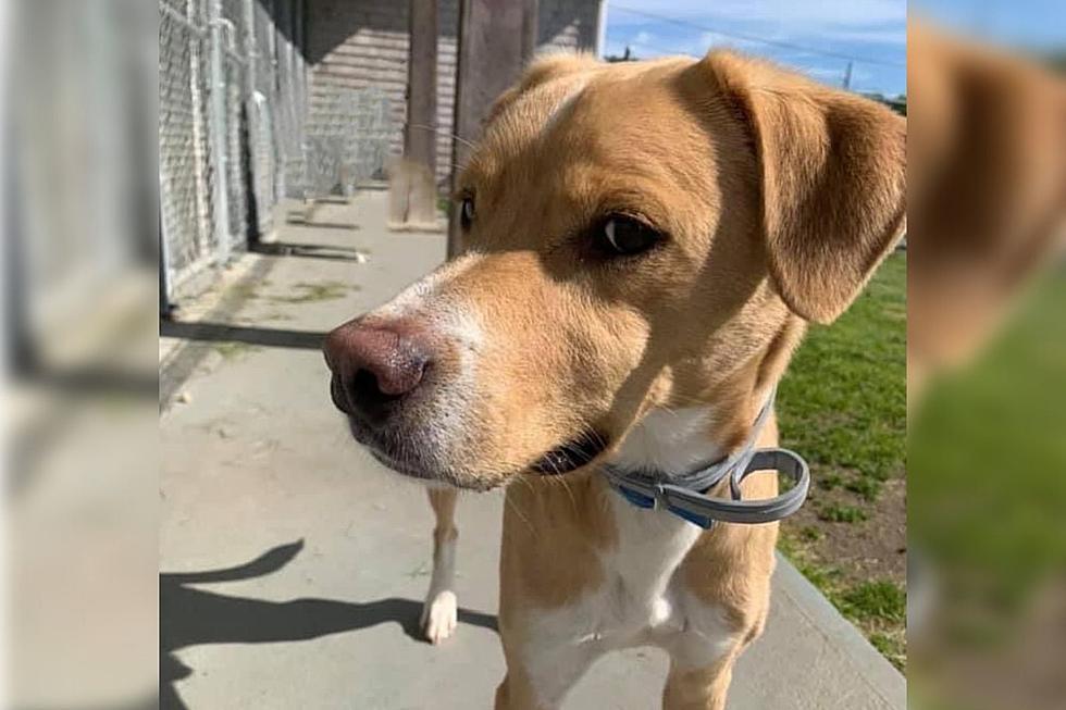 Fairhaven Lab Needs a Place to Call Home