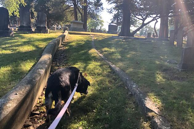 New Bedford&#8217;s Most Peaceful Area to Take Your Dog for a Walk