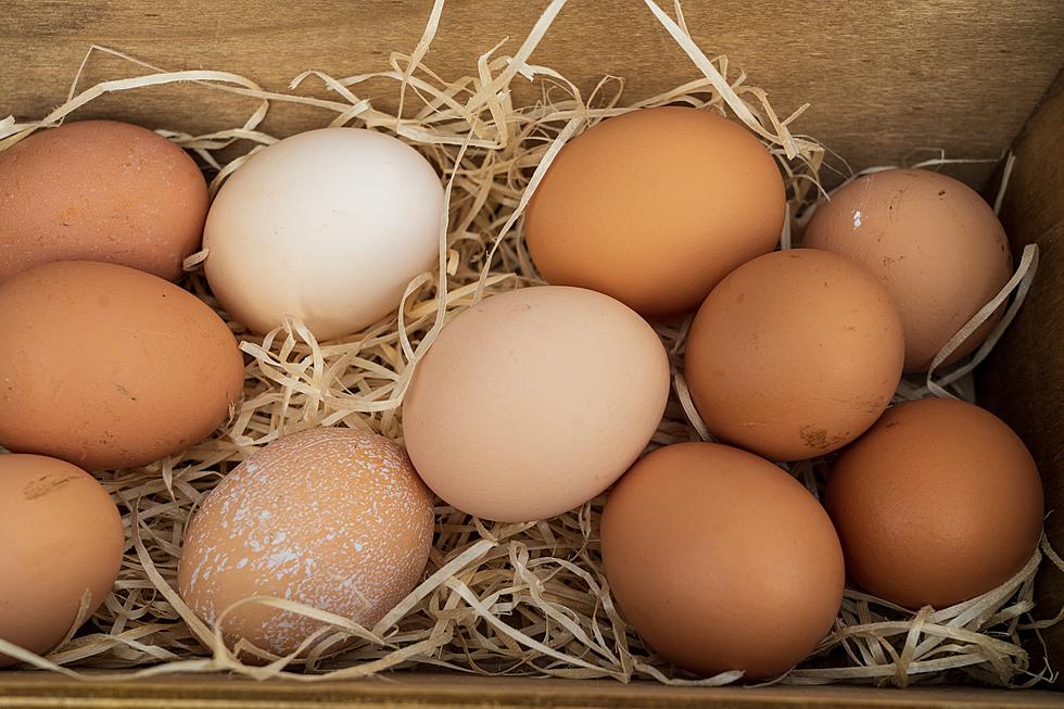 An Open Letter to Westport’s Apparent Serial Egg Thief