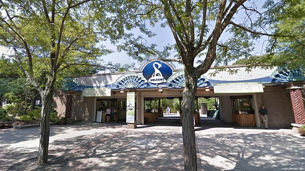 Providence&#8217;s Roger Williams Park Zoo Named One of Best in the US