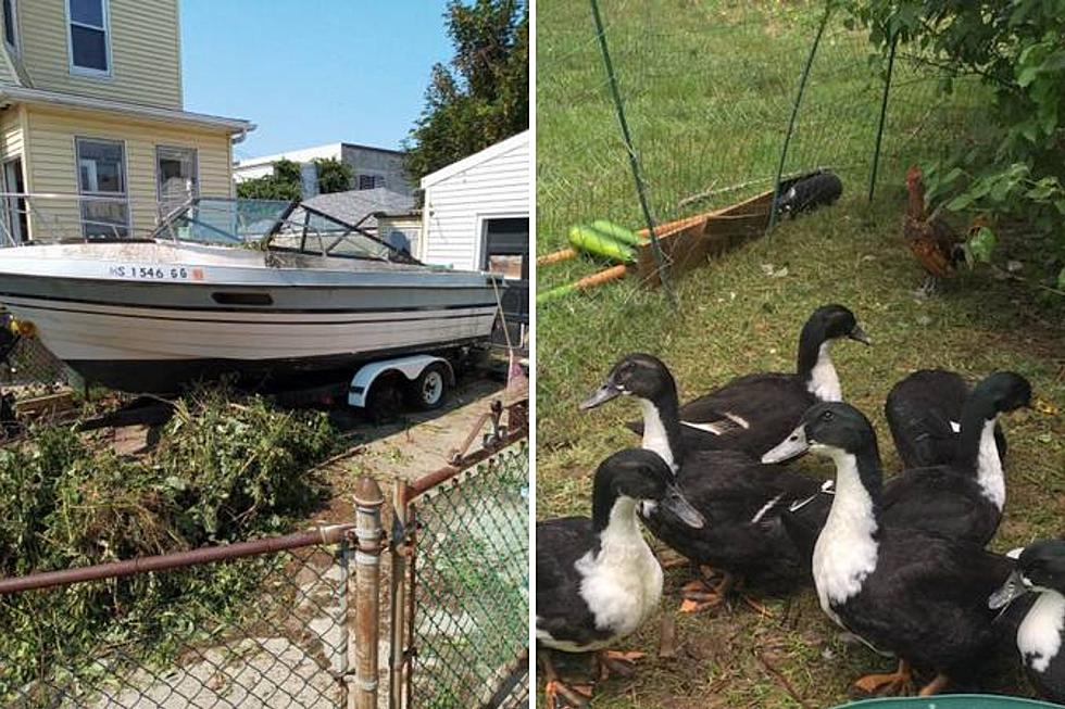 Fall River Boat and Rochester Ducks Free for the Taking