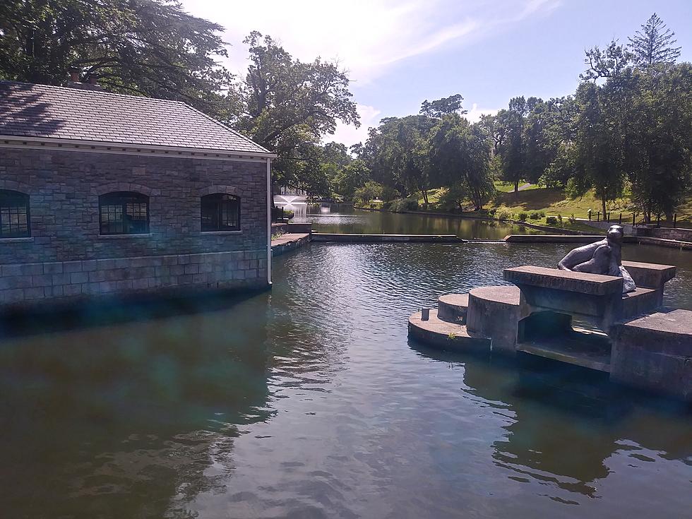 Remembering the Time a Sea Lion Escaped Providence’s Roger Williams Zoo