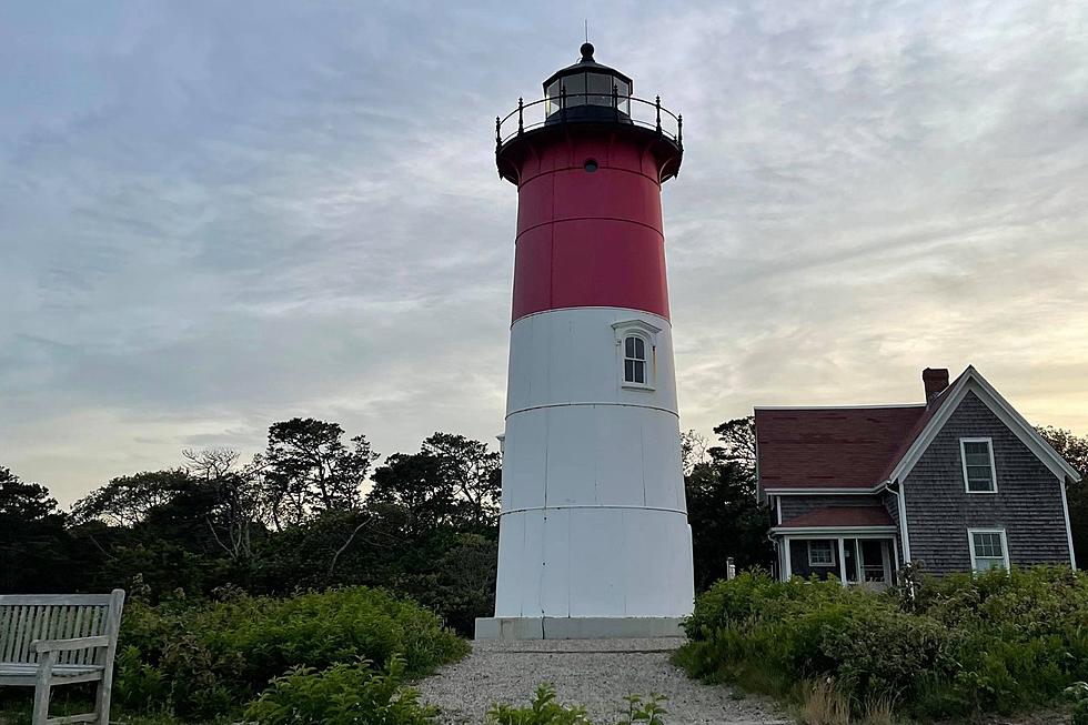 Woman Captures Perfect Photo on First Cape Cod Vacation