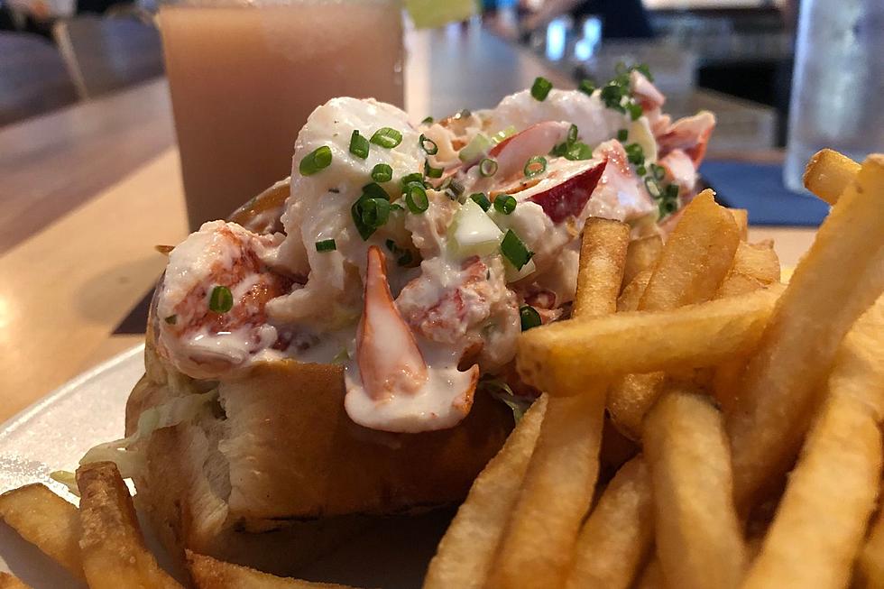 SouthCoast Lobster Roll Lovers Sound Off on the Hot vs. Cold Debate