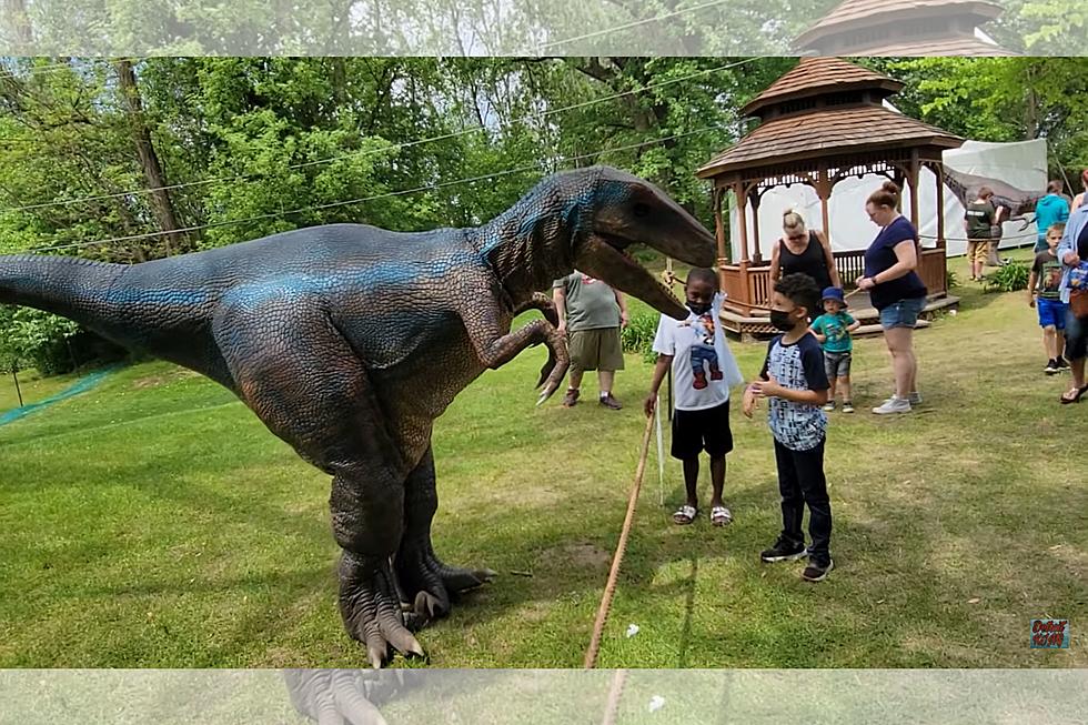 Get Up Close to Massive, Life-Size Dinos in Providence This Fall