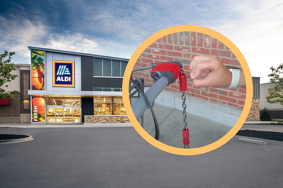 Dartmouth ALDI Opening Means I Can Share My Favorite Hacks