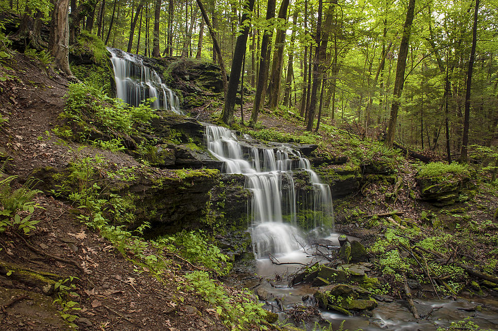 Find Foliage and Waterfalls on This Hidden Gem Hike Near Amherst