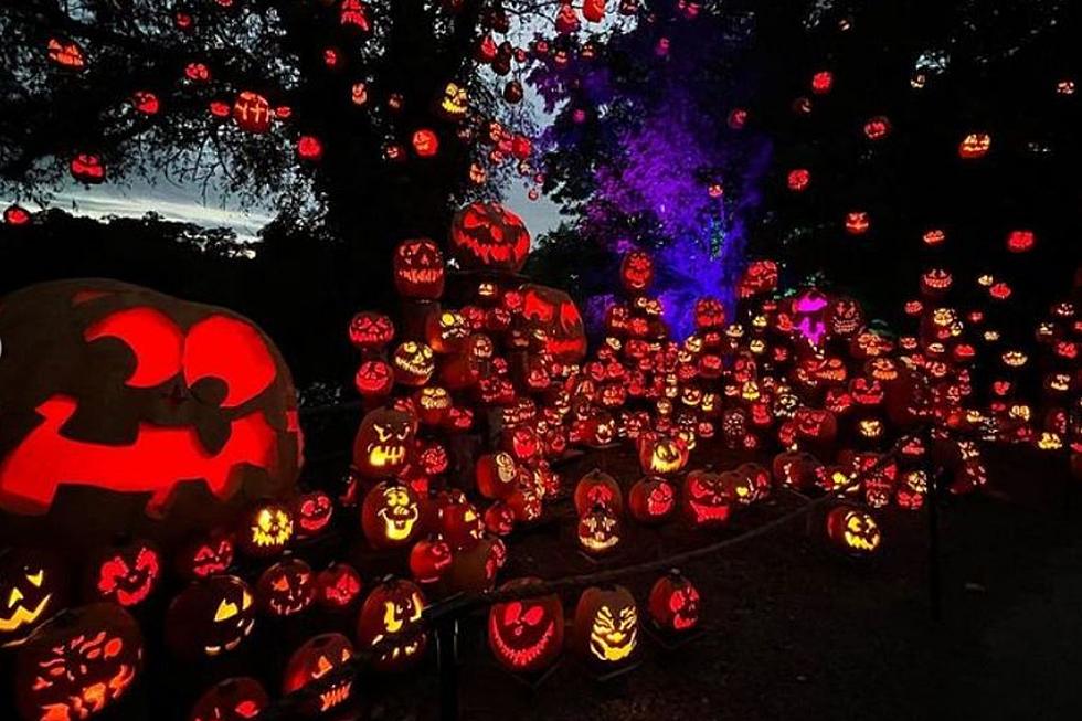 Your Guide to Halloween Events on the SouthCoast