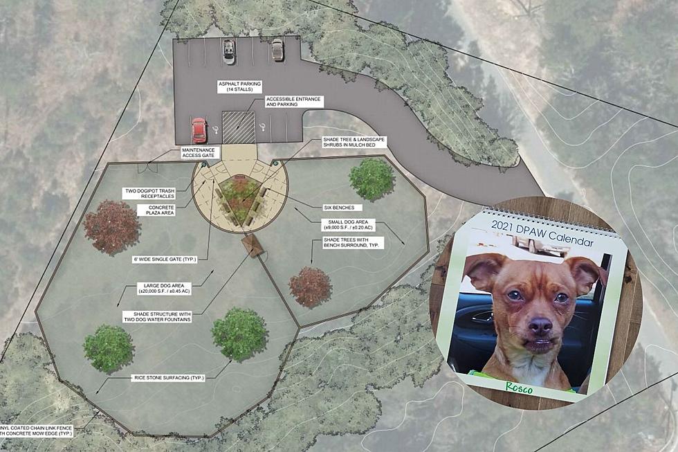 Wareham Dog Park Coming Soon