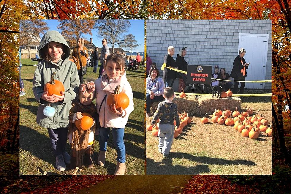 Mattapoisett Lions Club Bringing Back Free Fall Festival