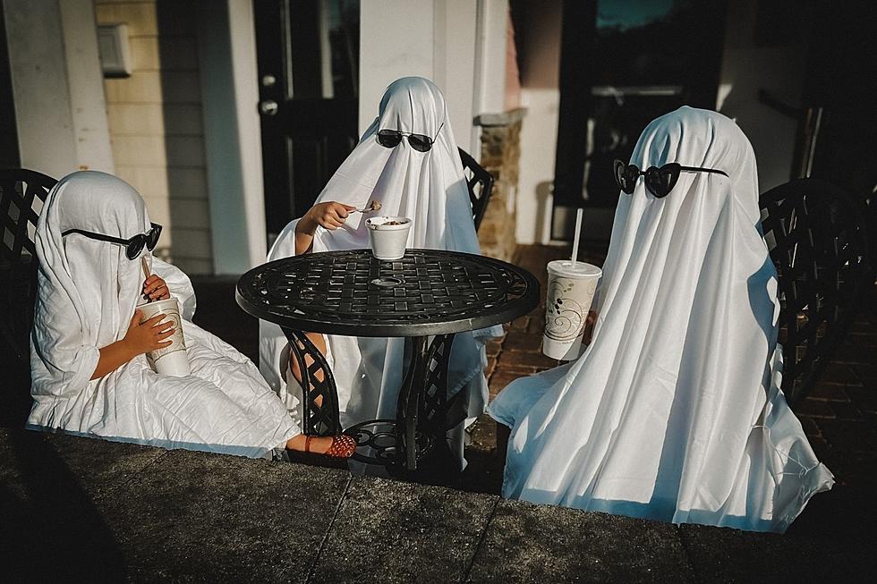 New Bedford Family’s Halloween Photo Shoot in Acushnet Is Ghoulishly Good