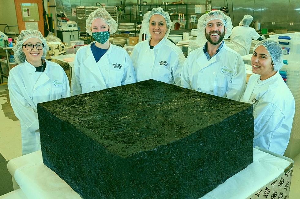 'World's Largest' Pot Brownie Baked Up in Massachusetts