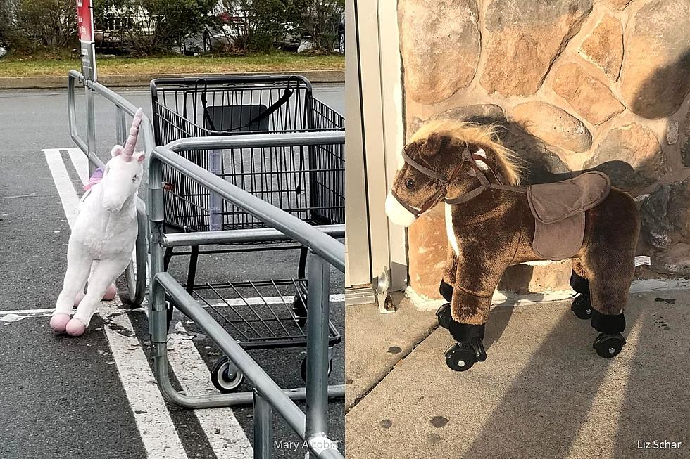 Giant Stuffed Horses Left Behind in Dartmouth and Fall River