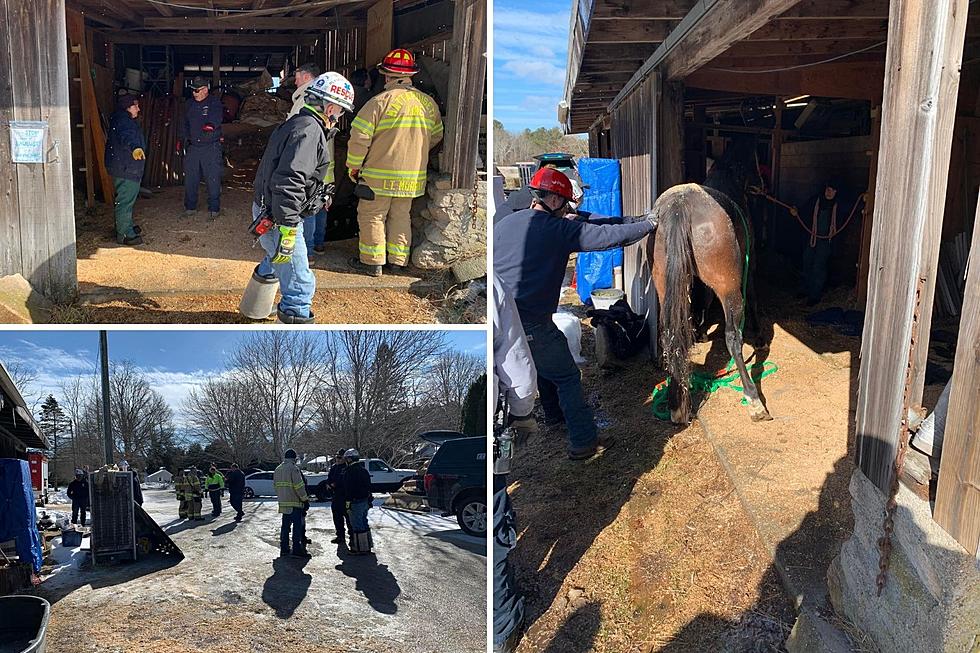 Hurtful Comments Upset Mattapoisett Ranch Owner