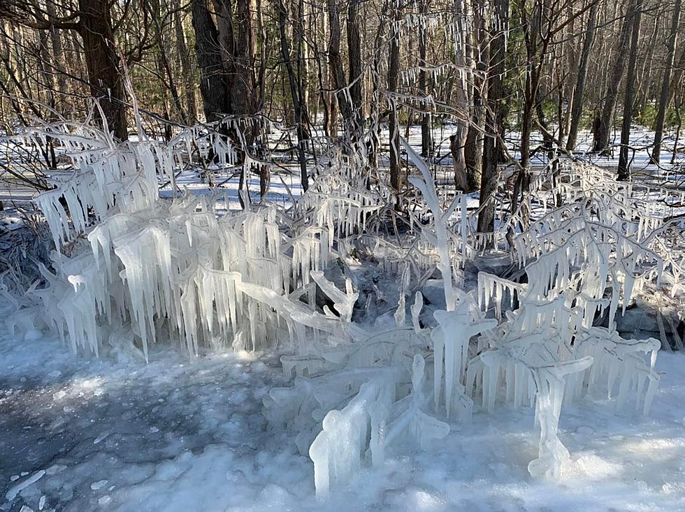 Frigid Freetown&#8217;s Icy Roadside Attraction Has Serious Queen Elsa Vibes