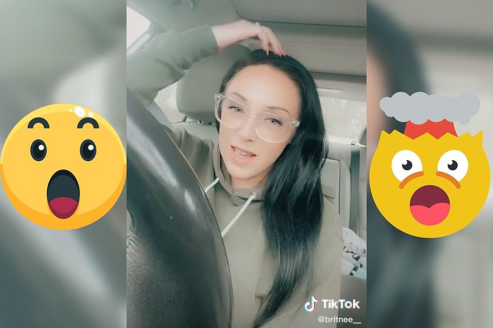 Dartmouth Woman’s TikTok Epiphany About Dogs Will Blow Your Mind