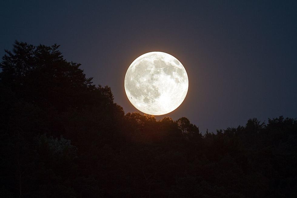 Look Up: Last Chance to see the 'Worm Moon'