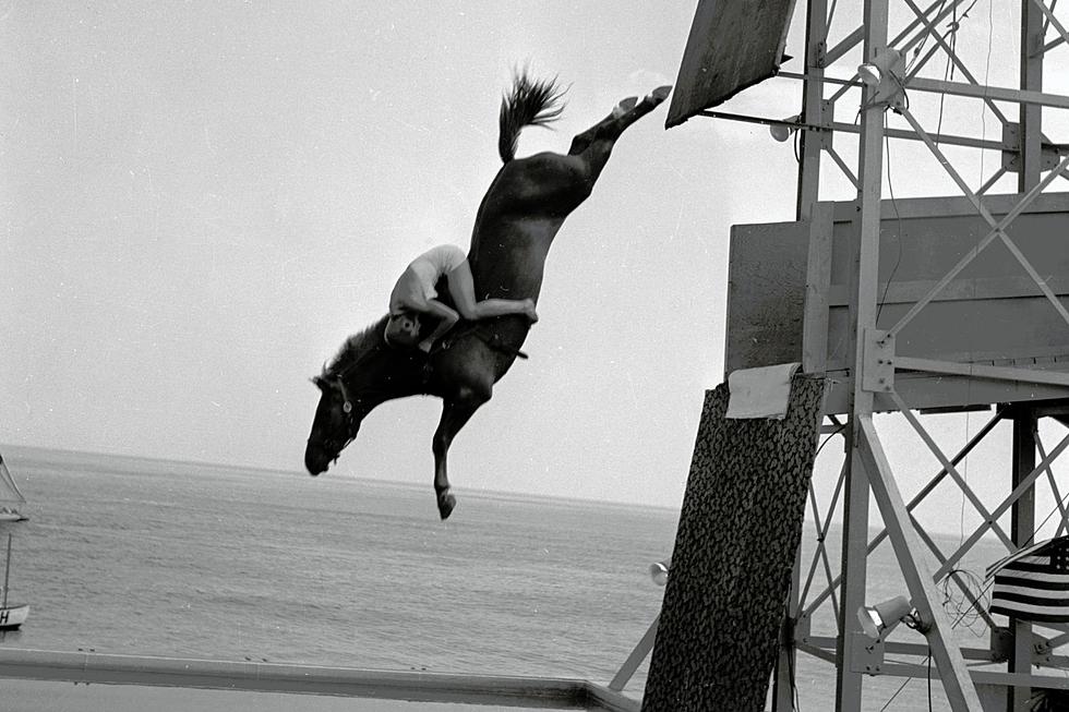 Horse Diving Once Wowed the Crowds at Portsmouth’s Island Park