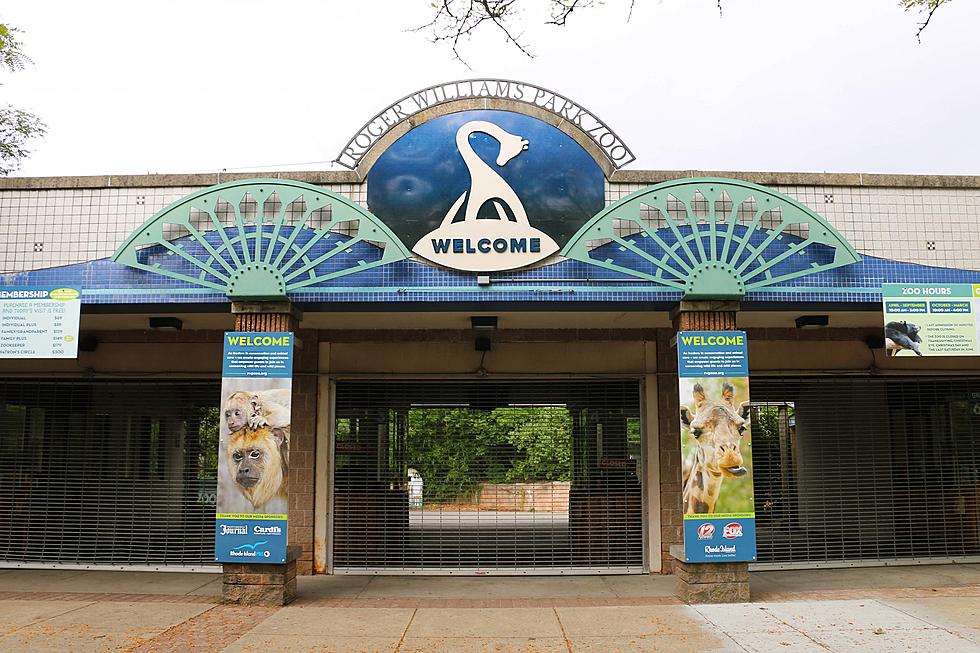 Celebrate 150 Years of Providence’s Roger Williams Park Zoo