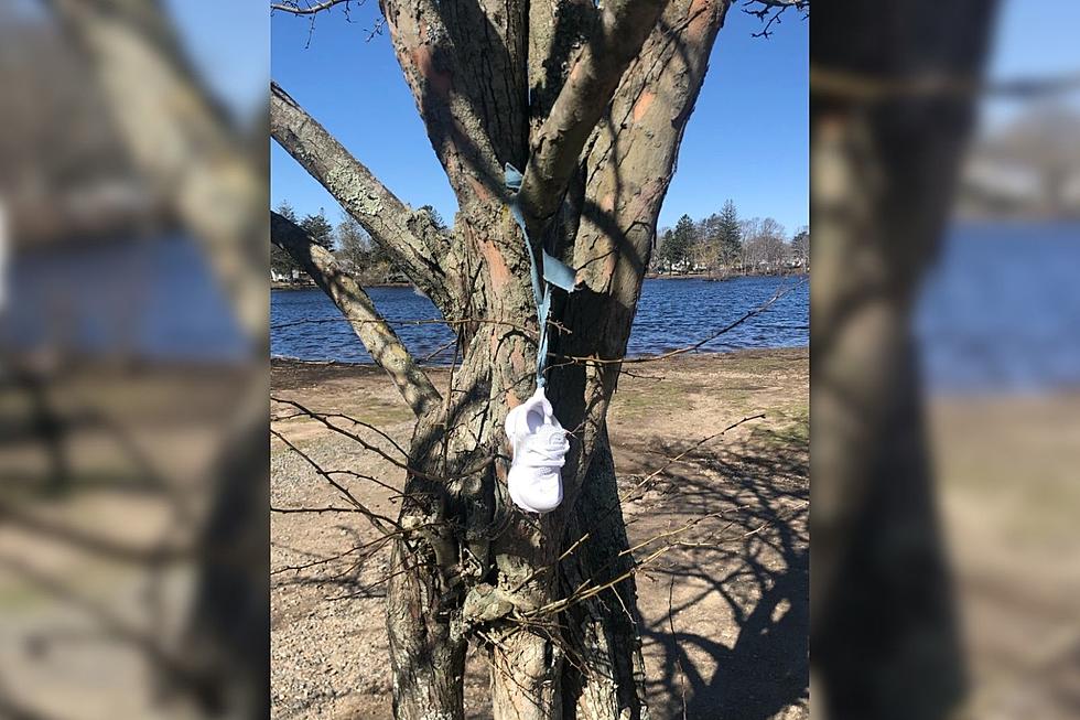 Mysterious Hanging Baby Shoe in New Bedford Sparks Questions