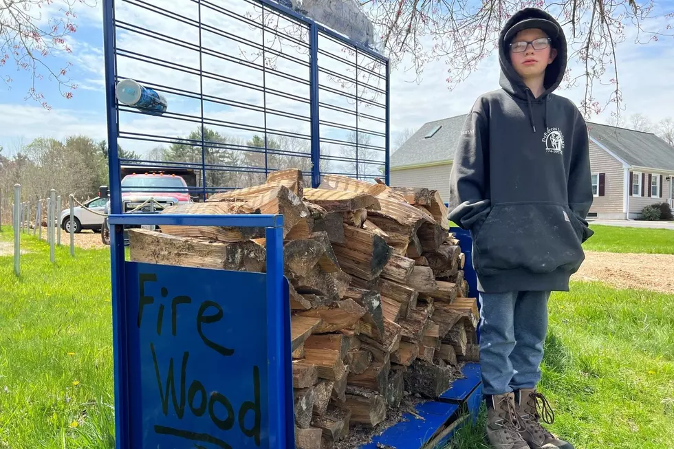 Acushnet 14-Year-Old: ‘Don’t Steal My Wood’