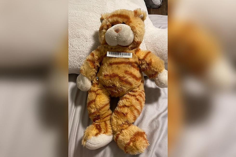 Missing Massachusetts Stuffed Animal Carrying Ashes Mysteriously Returned