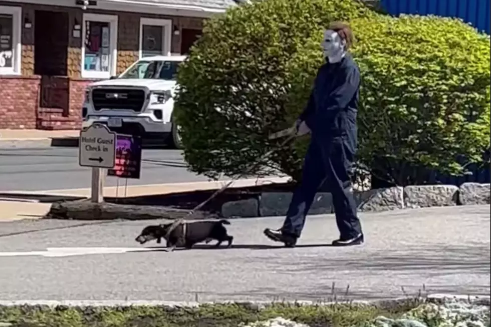 The Real Reason For This Bizarre Sighting of Michael Myers in Fairhaven