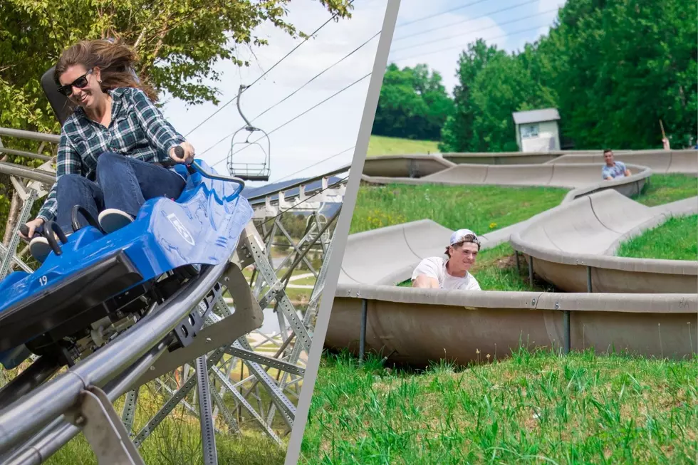 Hit the Slopes on New England’s Mountain Coasters and Alpine Slides