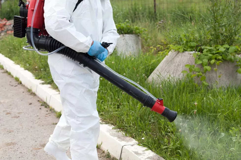 Weekly Mosquito Spraying Coming to Parts of New Bedford