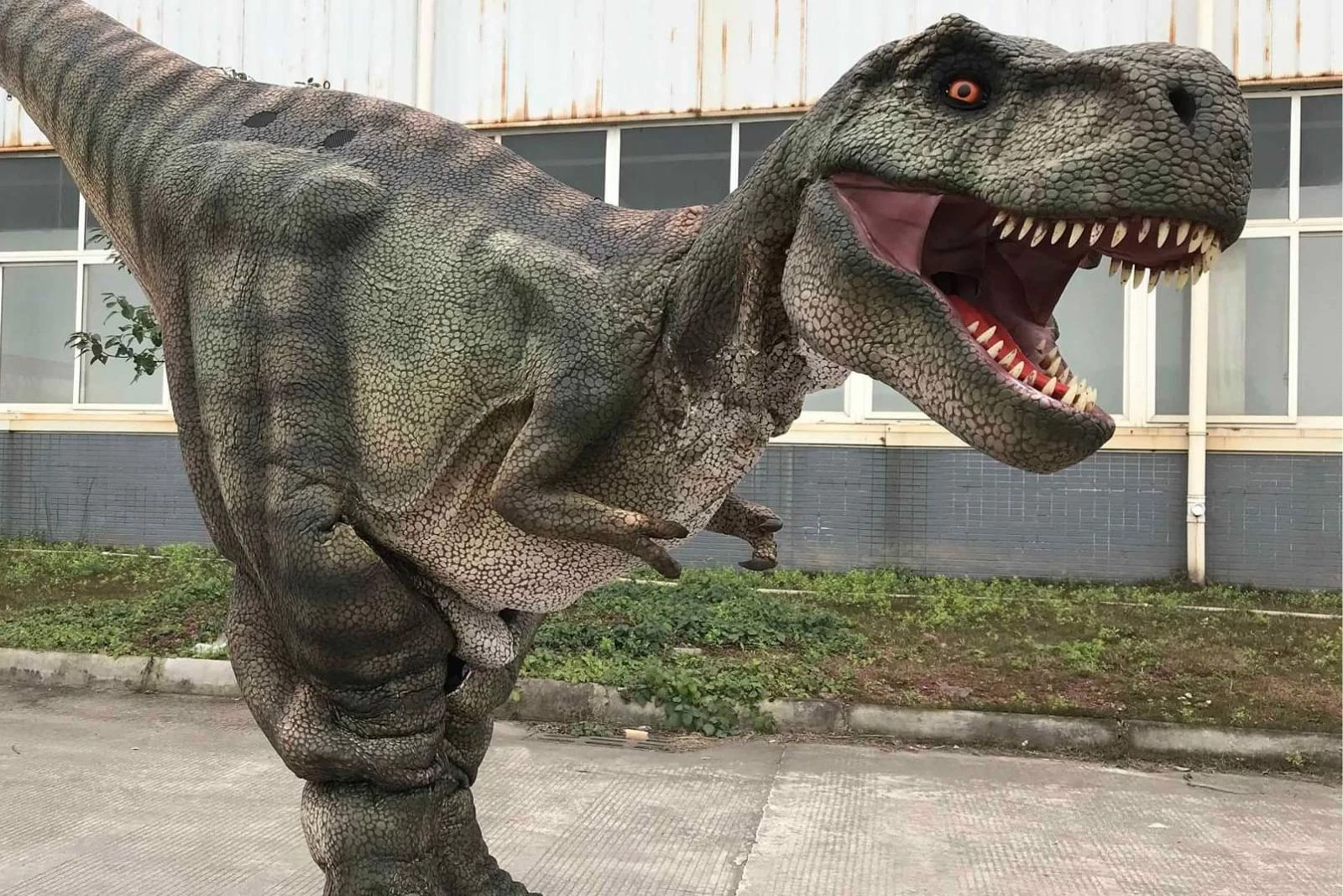 New Company in Plymouth Brings Realistic Dinosaurs to Your Door